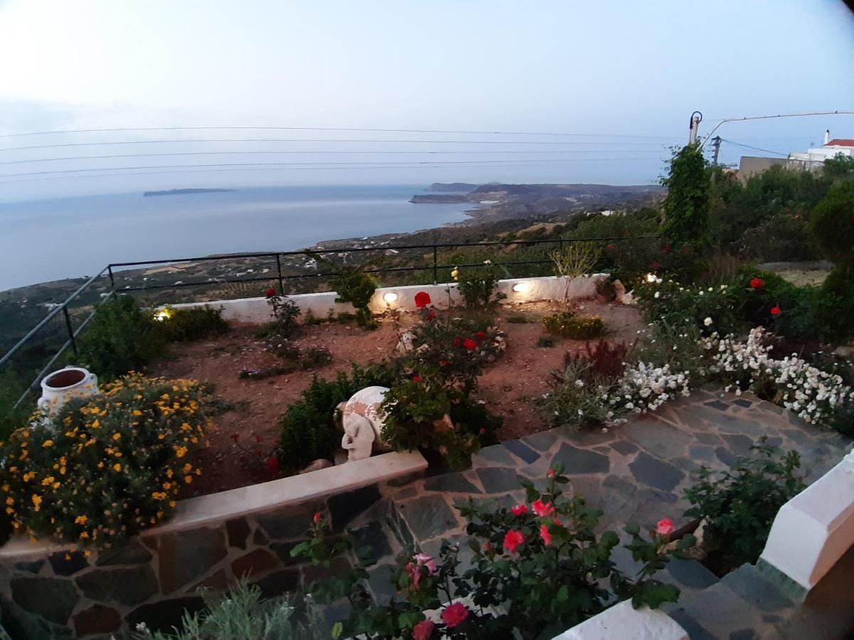 Roussa's View
