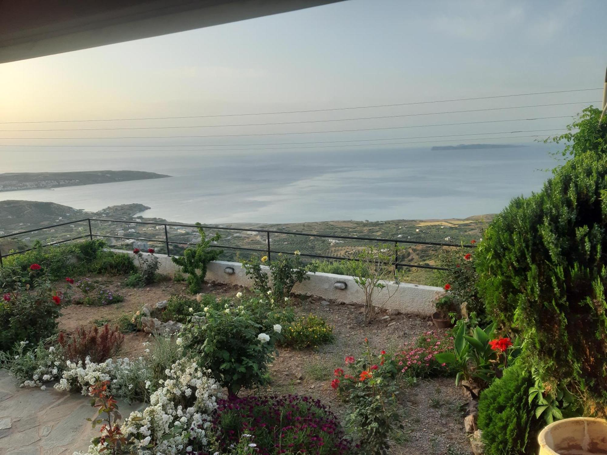 Roussa's View
